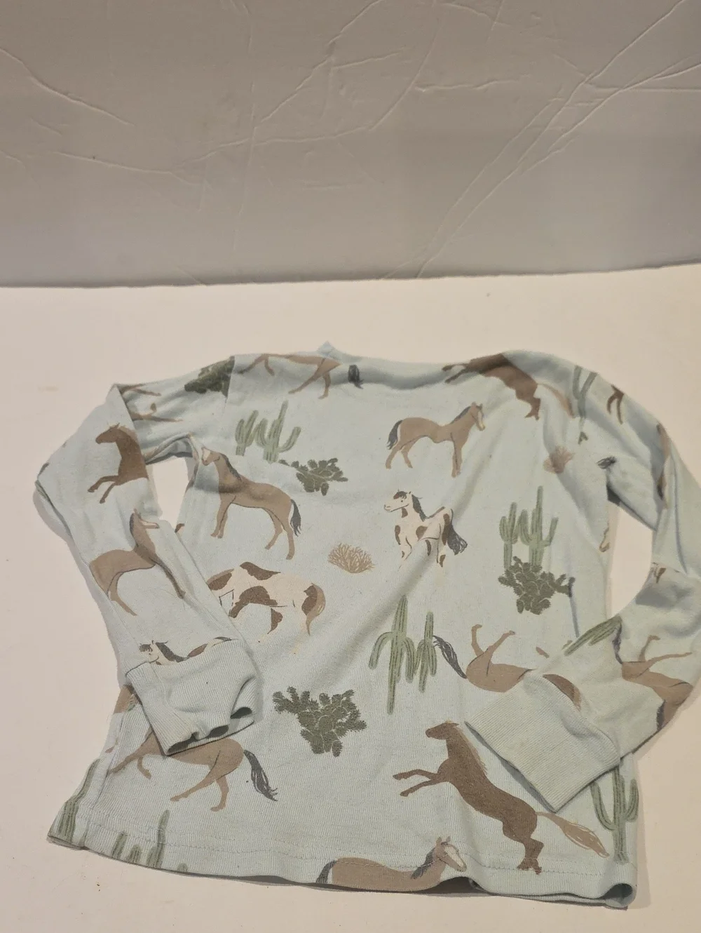 Carter's Light Blue Horse & Cactus Long Sleeve Tee 3t